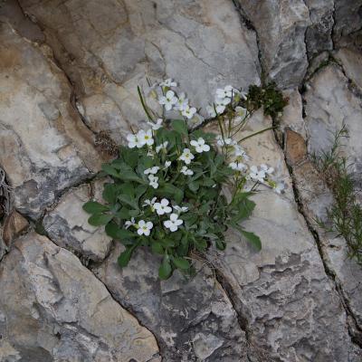 Прикрепленное изображение: IMG_2171.jpg